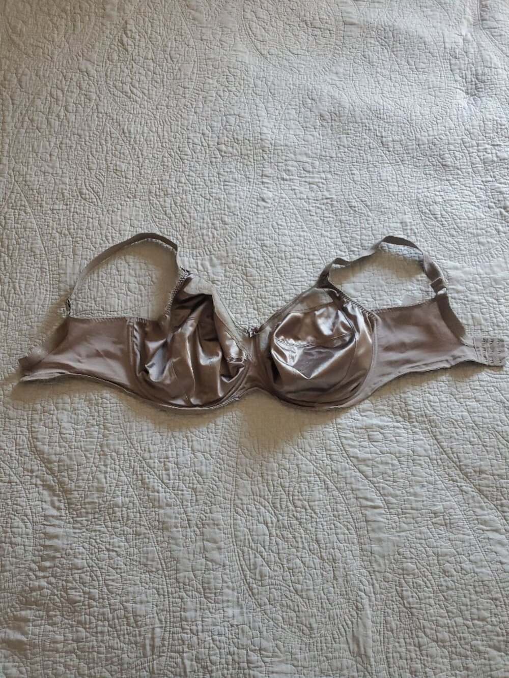 Dark Purple Metallic Bra with Little Center Bow and Mesh Detail